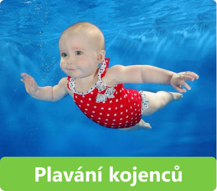 Plavání kojenců