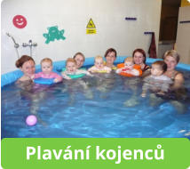 Plavání kojenců