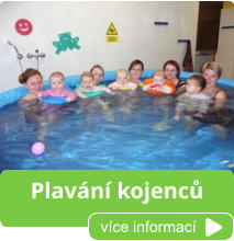 Plavání kojenců více informací