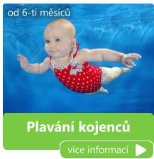 Plavání kojenců více informací od 6-ti měsíců